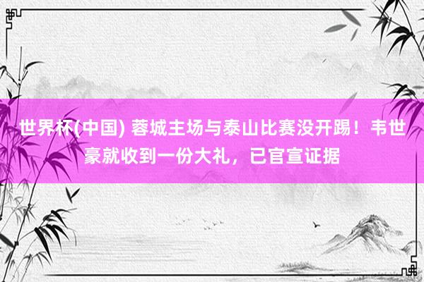 世界杯(中国) 蓉城主场与泰山比赛没开踢！韦世豪就收到一份大礼，已官宣证据