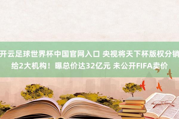 开云足球世界杯中国官网入口 央视将天下杯版权分销给2大机构！曝总价达32亿元 未公开FIFA卖价