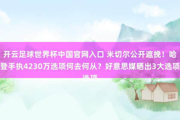 开云足球世界杯中国官网入口 米切尔公开遮挽！哈登手执4230万选项何去何从？好意思媒晒出3大选项
