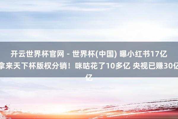 开云世界杯官网 - 世界杯(中国) 曝小红书17亿拿来天下杯版权分销！咪咕花了10多亿 央视已赚30亿