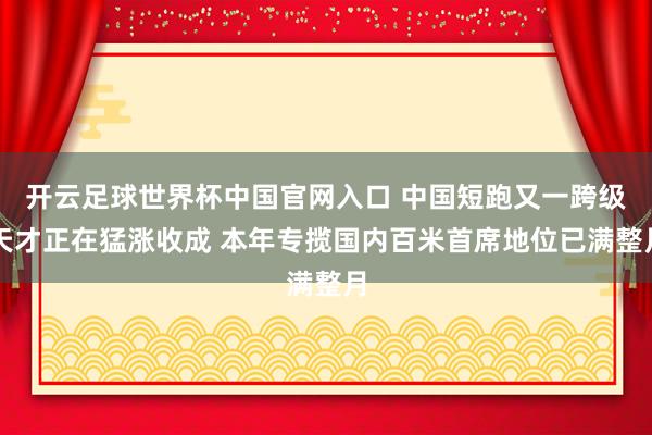 开云足球世界杯中国官网入口 中国短跑又一跨级天才正在猛涨收成 本年专揽国内百米首席地位已满整月