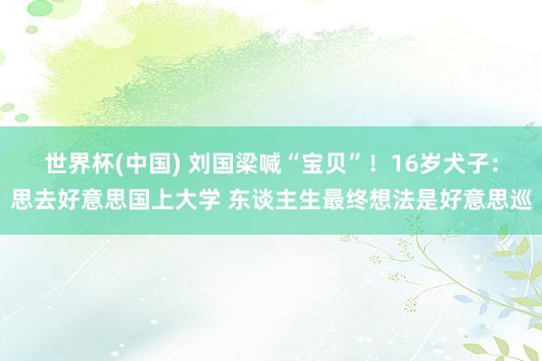 世界杯(中国) 刘国梁喊“宝贝”！16岁犬子：思去好意思国上大学 东谈主生最终想法是好意思巡