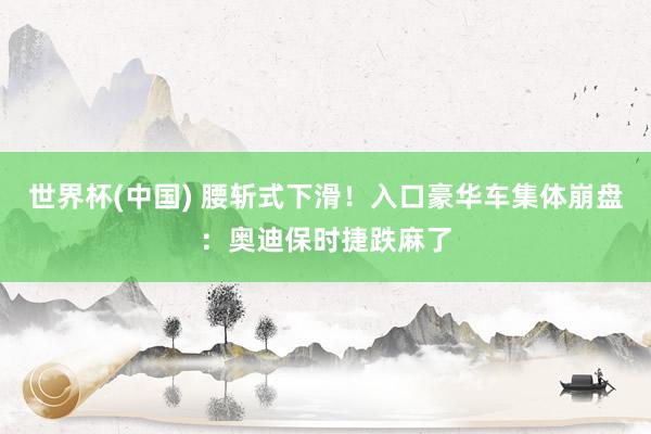 世界杯(中国) 腰斩式下滑！入口豪华车集体崩盘：奥迪保时捷跌麻了