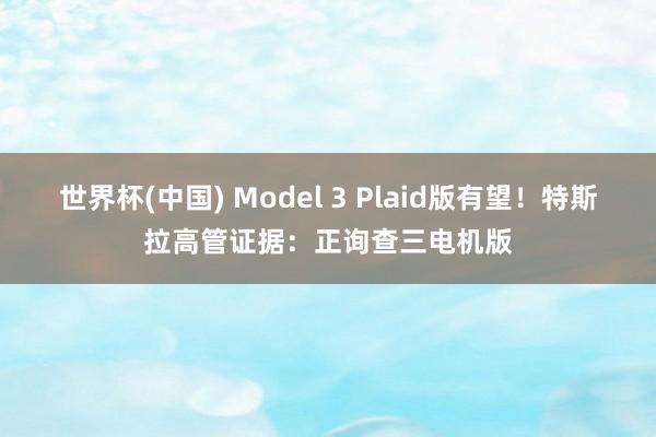 世界杯(中国) Model 3 Plaid版有望！特斯拉高管证据：正询查三电机版