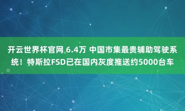 开云世界杯官网 6.4万 中国市集最贵辅助驾驶系统！特斯拉FSD已在国内灰度推送约5000台车