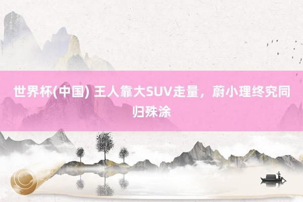 世界杯(中国) 王人靠大SUV走量，蔚小理终究同归殊涂
