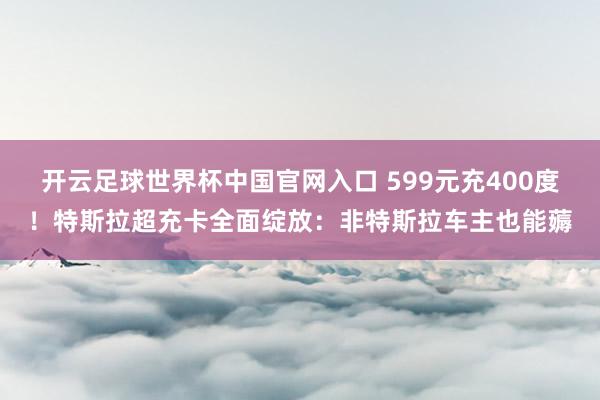 开云足球世界杯中国官网入口 599元充400度！特斯拉超充卡全面绽放：非特斯拉车主也能薅