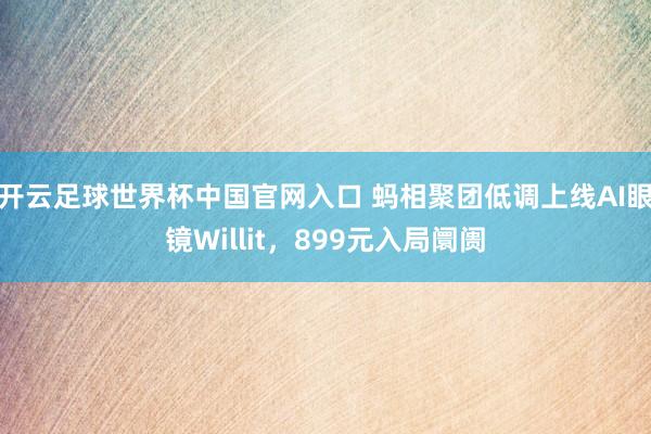 开云足球世界杯中国官网入口 蚂相聚团低调上线AI眼镜Willit，899元入局阛阓