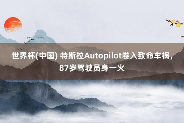 世界杯(中国) 特斯拉Autopilot卷入致命车祸，87岁驾驶员身一火