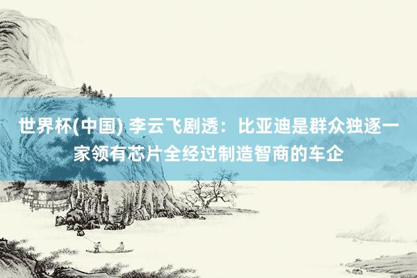 世界杯(中国) 李云飞剧透：比亚迪是群众独逐一家领有芯片全经过制造智商的车企