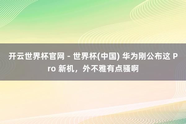 开云世界杯官网 - 世界杯(中国) 华为刚公布这 Pro 新机，外不雅有点骚啊