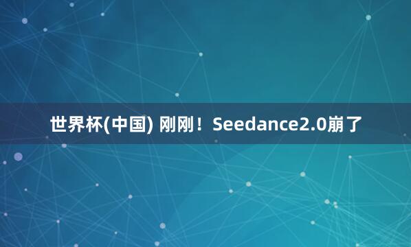 世界杯(中国) 刚刚！Seedance2.0崩了