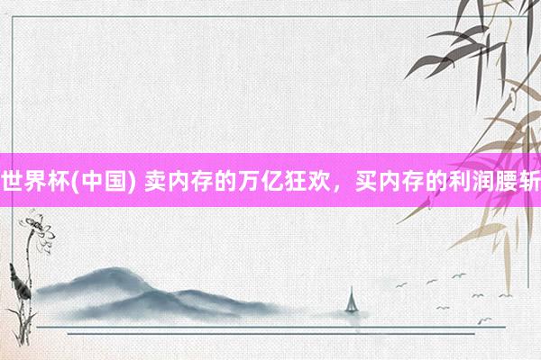 世界杯(中国) 卖内存的万亿狂欢，买内存的利润腰斩