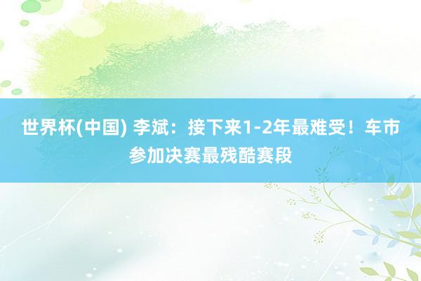 世界杯(中国) 李斌：接下来1-2年最难受！车市参加决赛最残酷赛段