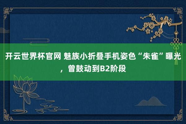 开云世界杯官网 魅族小折叠手机姿色“朱雀”曝光，曾鼓动到B2阶段