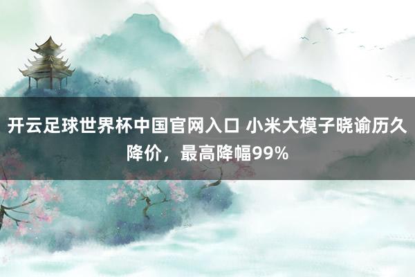 开云足球世界杯中国官网入口 小米大模子晓谕历久降价，最高降幅99%