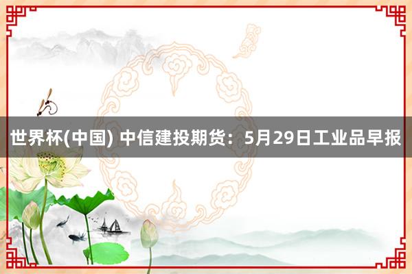 世界杯(中国) 中信建投期货：5月29日工业品早报