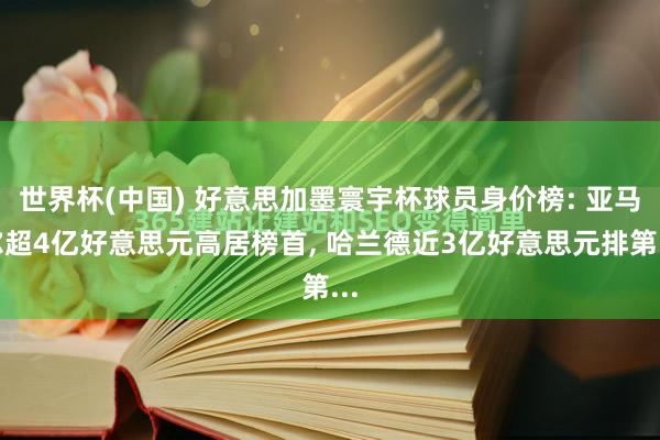 世界杯(中国) 好意思加墨寰宇杯球员身价榜: 亚马尔超4亿好意思元高居榜首, 哈兰德近3亿好意思元排第...