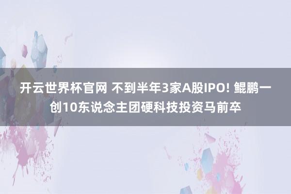 开云世界杯官网 不到半年3家A股IPO! 鲲鹏一创10东说念主团硬科技投资马前卒