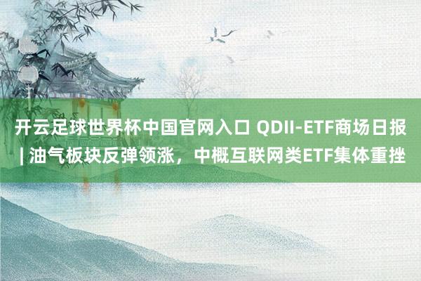 开云足球世界杯中国官网入口 QDII-ETF商场日报 | 油气板块反弹领涨，中概互联网类ETF集体重挫