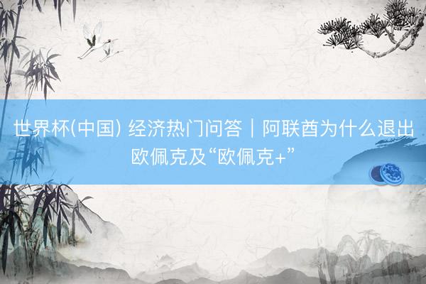 世界杯(中国) 经济热门问答｜阿联酋为什么退出欧佩克及“欧佩克+”