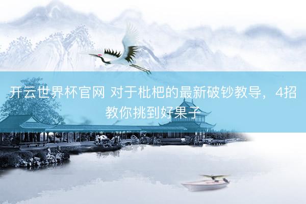 开云世界杯官网 对于枇杷的最新破钞教导，4招教你挑到好果子