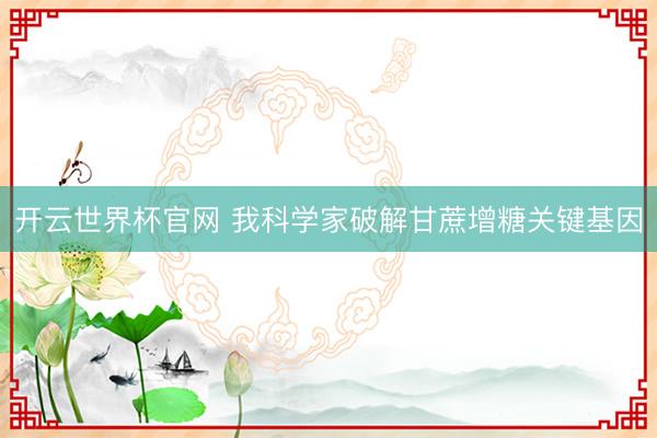 开云世界杯官网 我科学家破解甘蔗增糖关键基因