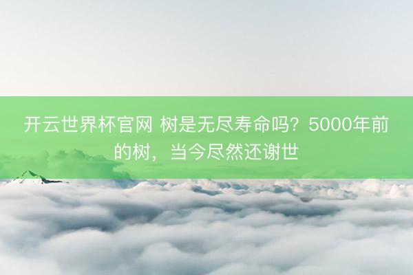 开云世界杯官网 树是无尽寿命吗?5000年前的树,当今尽然还谢世