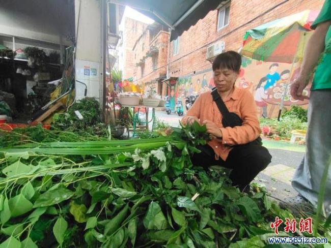 南宁街巷草药飘香