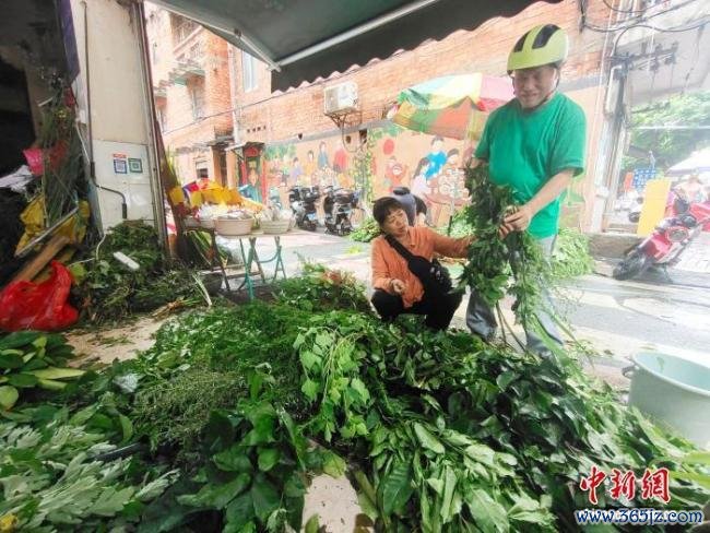 南宁街巷草药飘香 端午习俗引市民选购